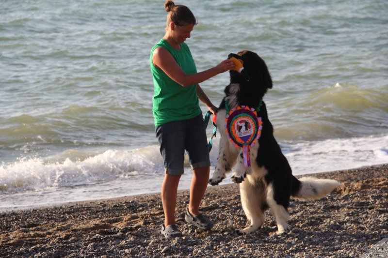 Фотография № 193953