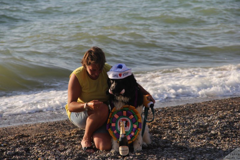 Фотография № 193954