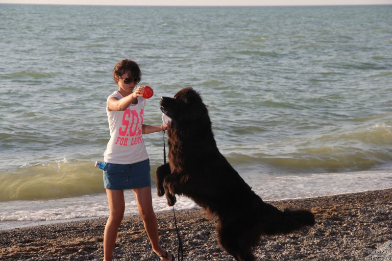 Фотография № 193955