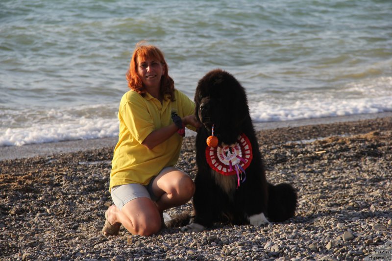 Фотография № 193957