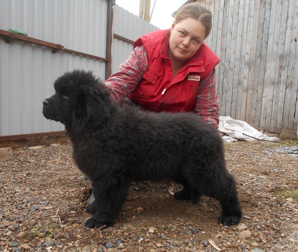 Фотография № 193974