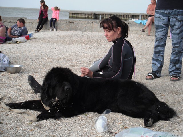 Фотография № 193982