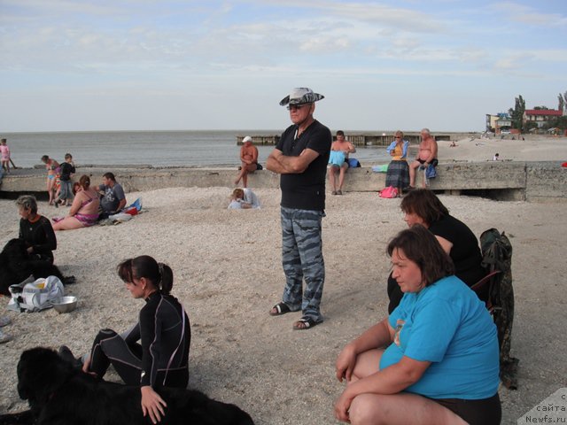 Фотография № 193984