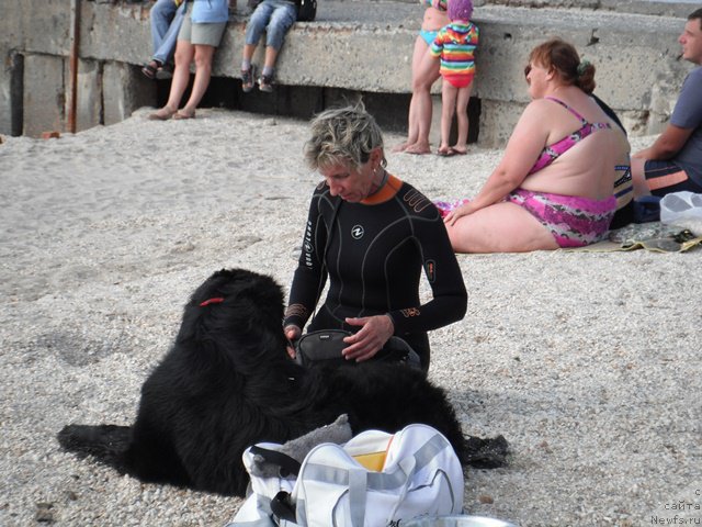 Фотография № 193985