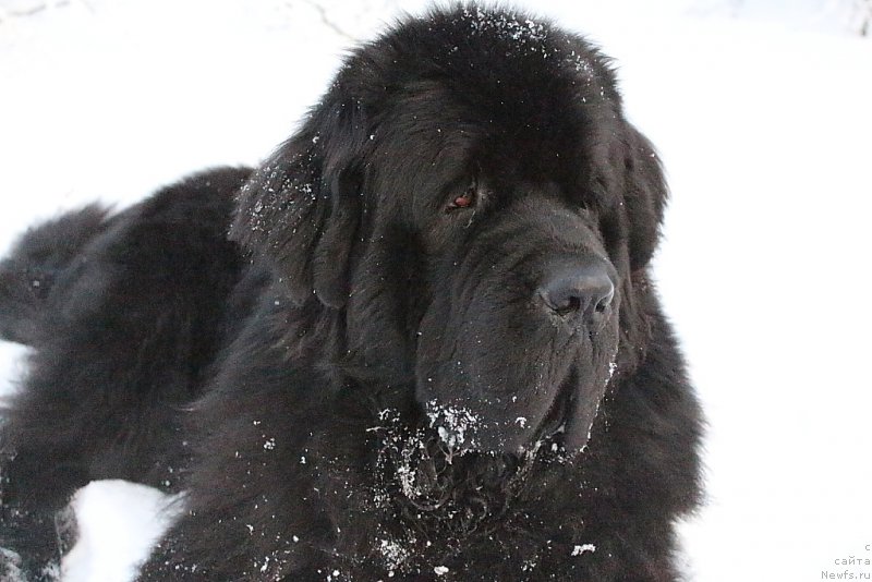 Фотография № 193986