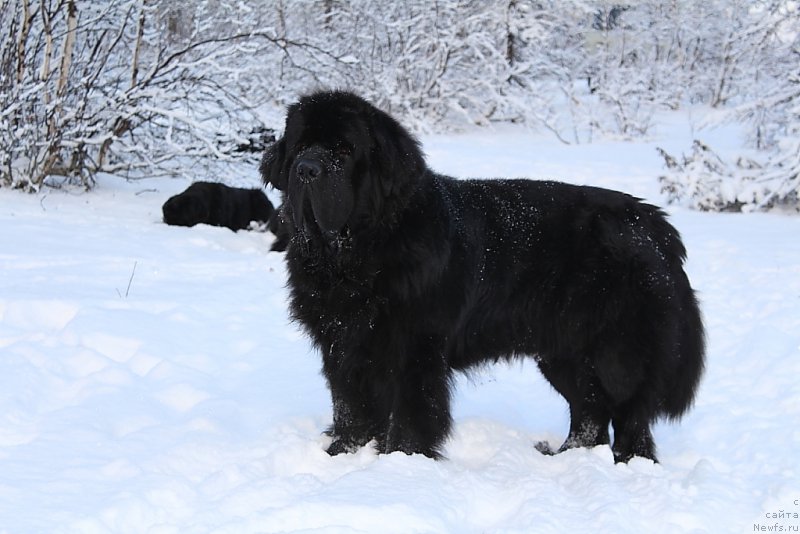 Фотография № 193987