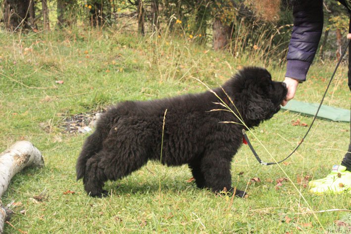 Фотография № 194030