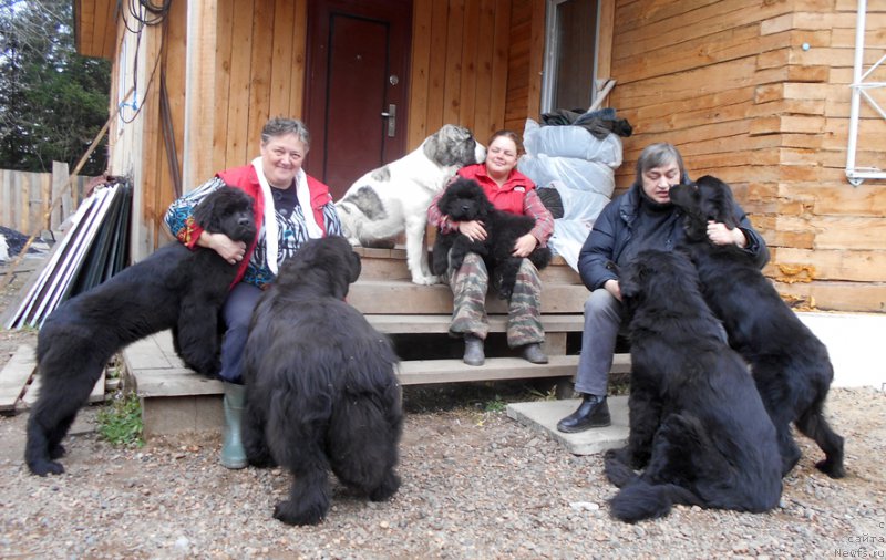 Фотография № 194038