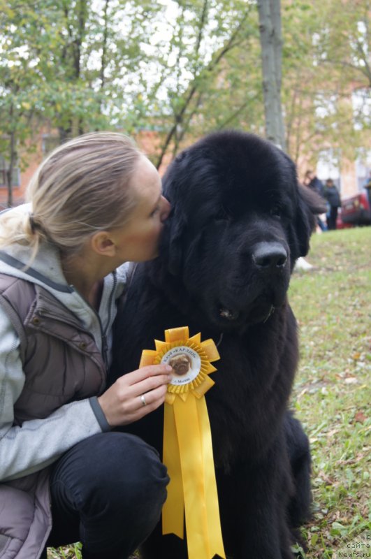 Фотография № 194042