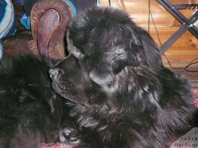 Фотография № 19408