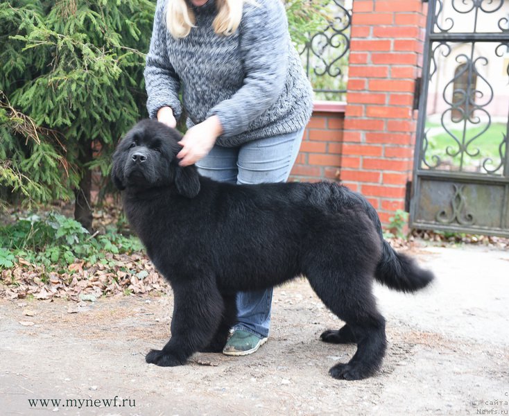 Фотография № 194108