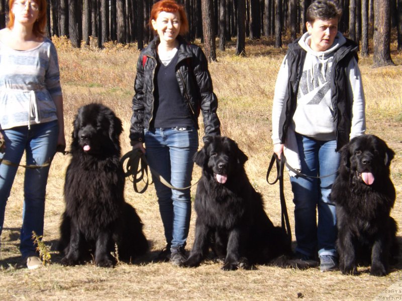 Фотография № 194117