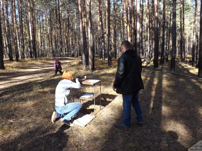 Фотография № 194120