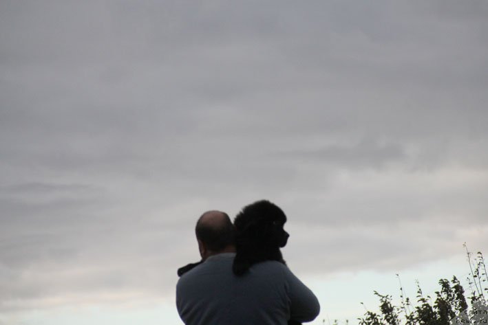 Фото: ньюфаундленд Zherar s Berega Dona (Жерар с Берега Дона), Kiril Ermakov (Кирил Ермаков)