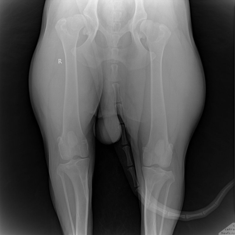 Фотография № 194162