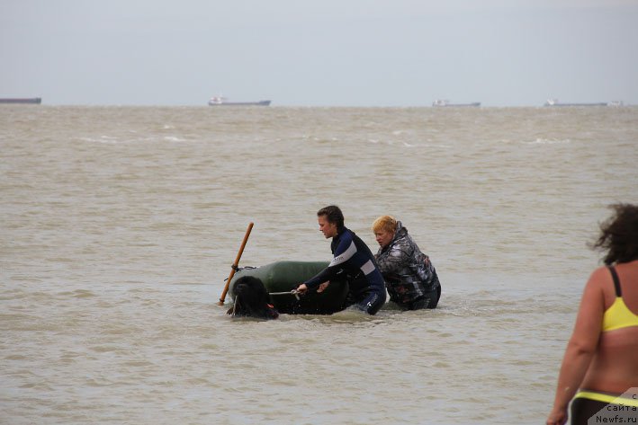 Фотография № 194181