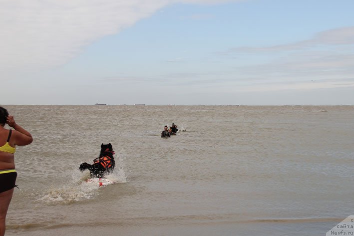 Фотография № 194182