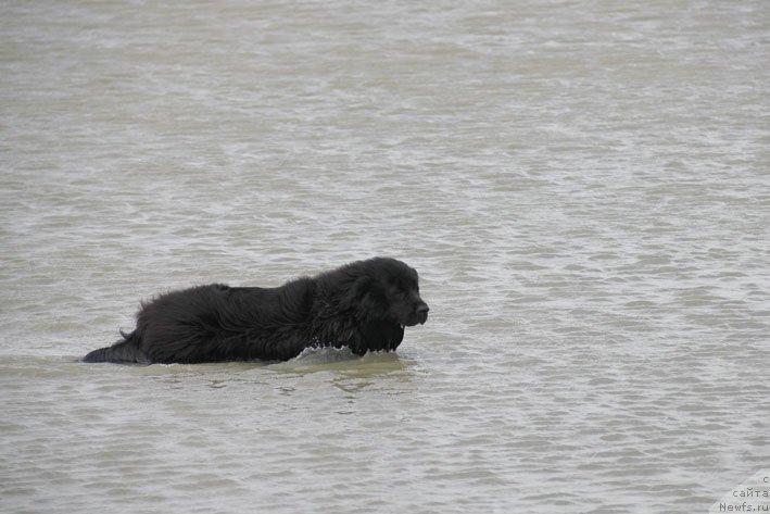 Фотография № 194188