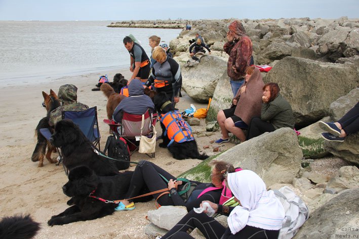 Фотография № 194189