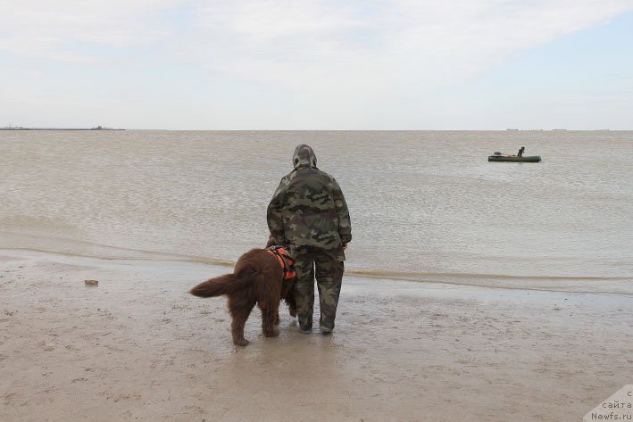 Фотография № 194193