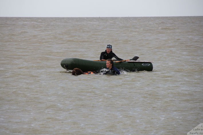 Фотография № 194194