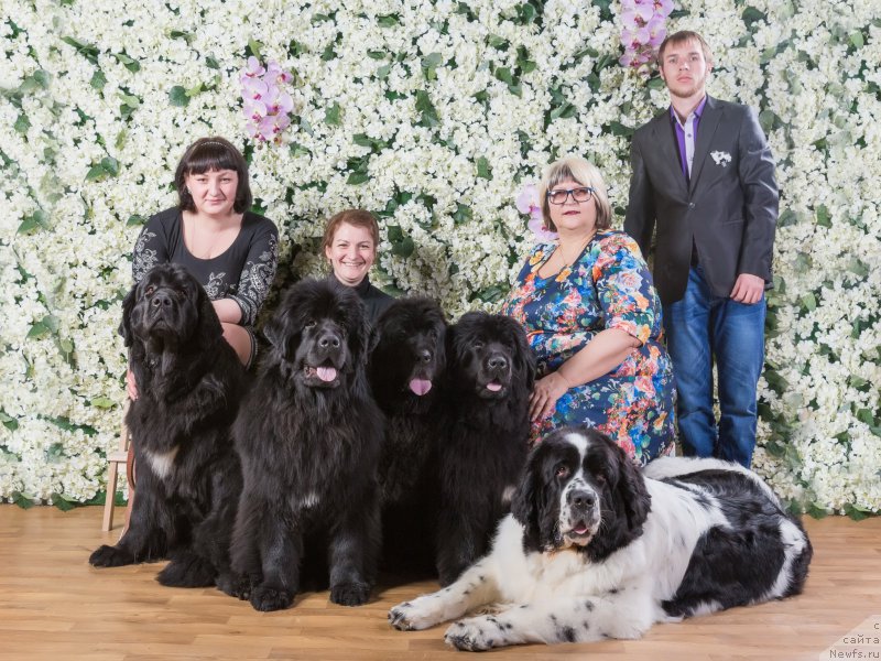 Фотография № 194207