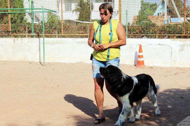 Фотография № 194244