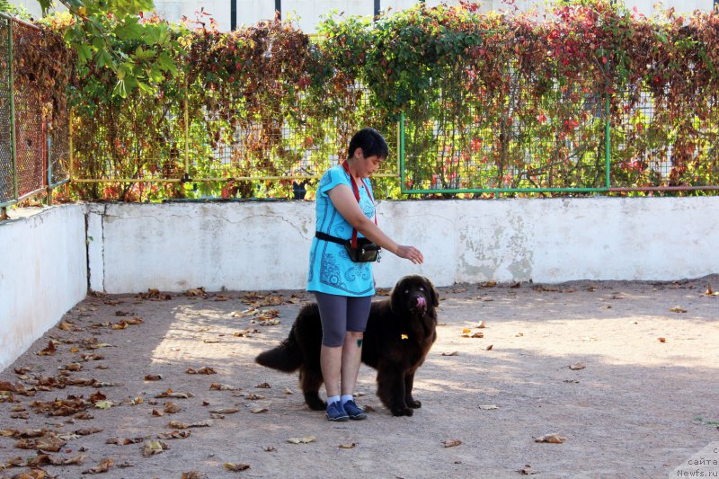 Фотография № 194248