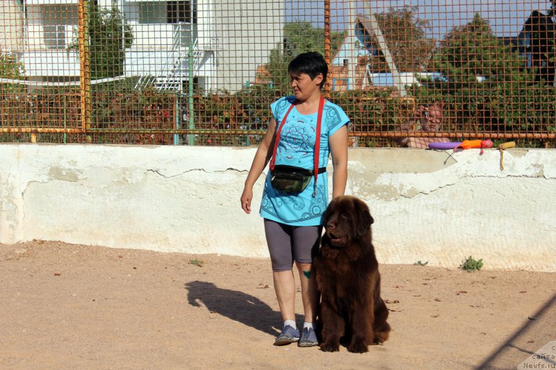 Фотография № 194250