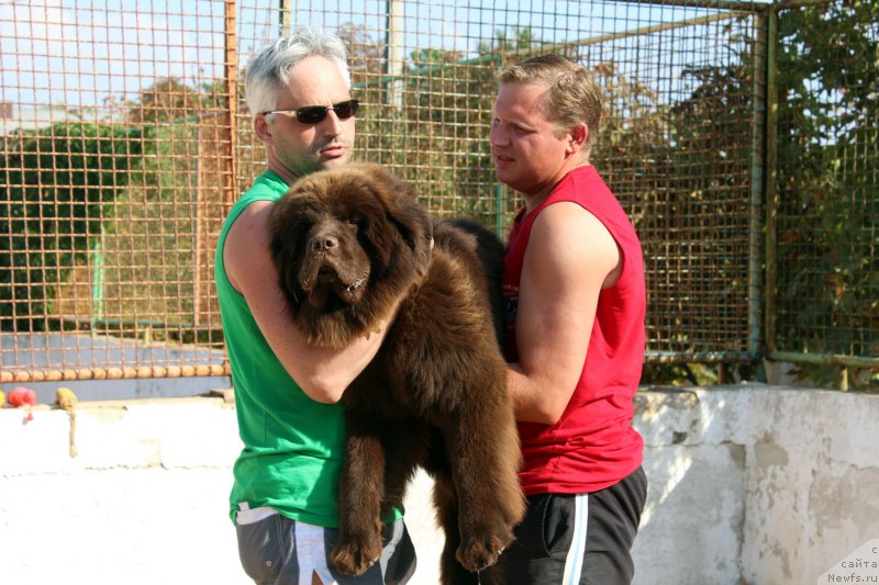 Фотография № 194251