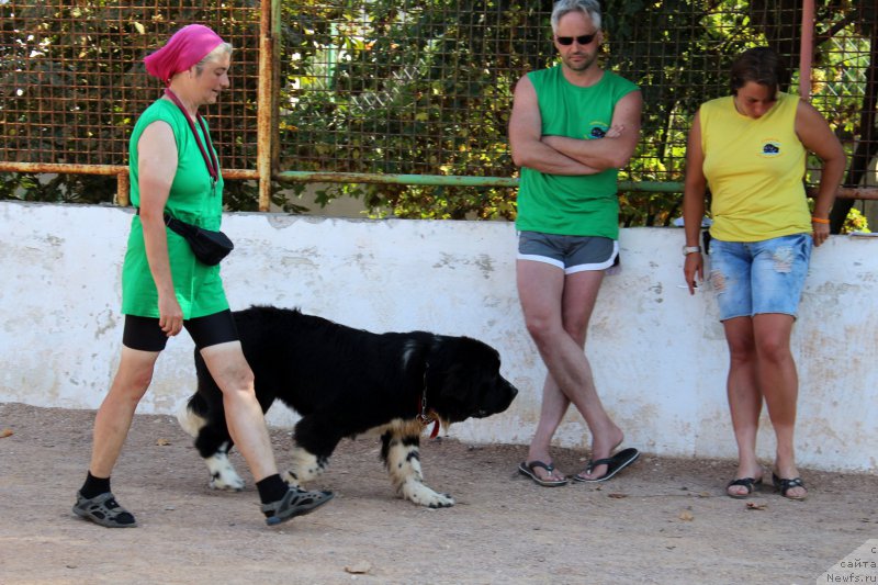 Фотография № 194256