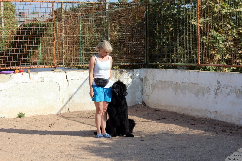 Фотография № 194260