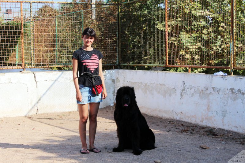 Фотография № 194264