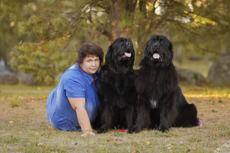 Фотография № 194313