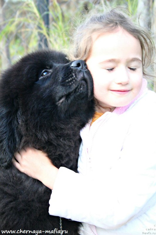 Фотография № 194317