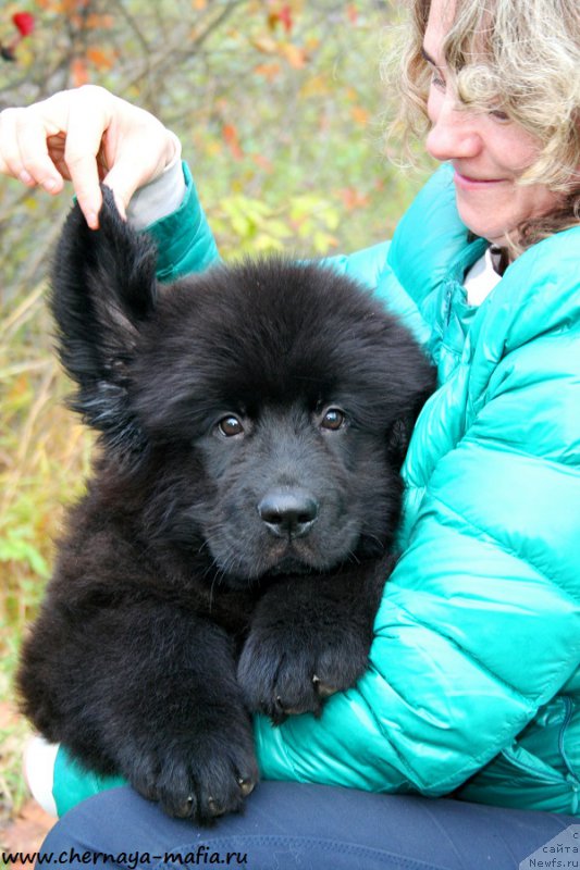 Фотография № 194320