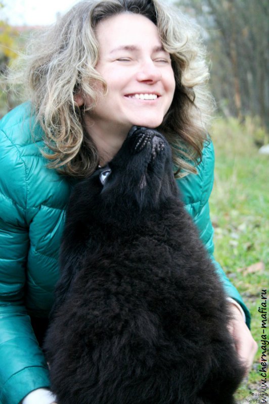 Фотография № 194321