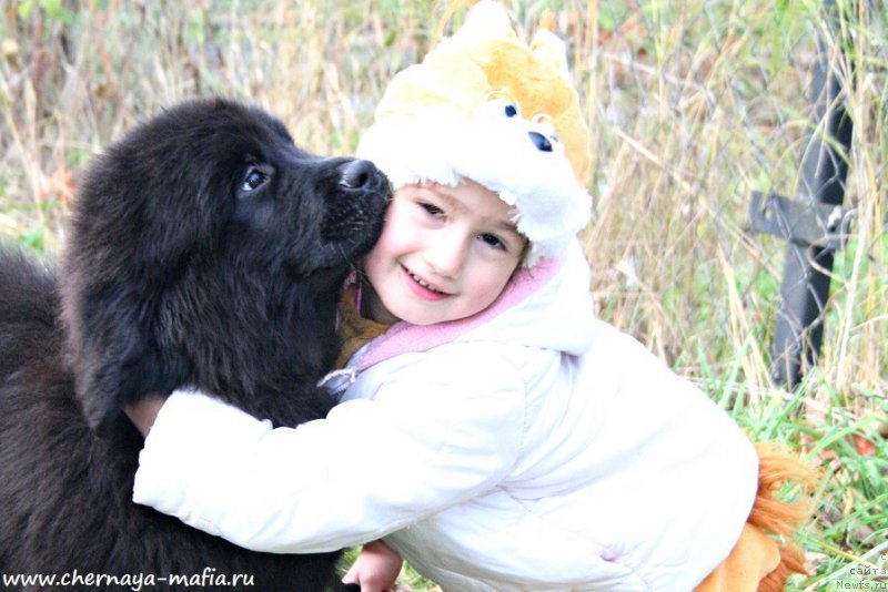 Фотография № 194323