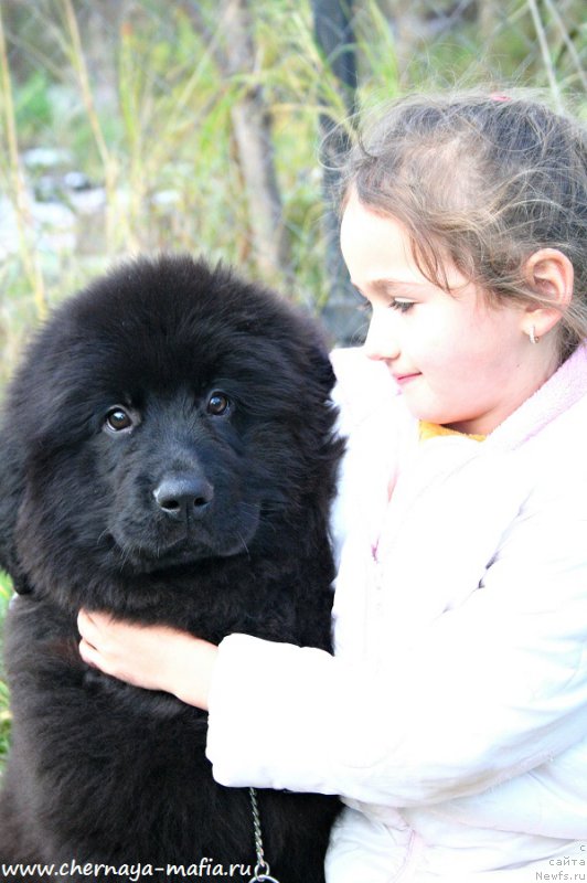 Фотография № 194324