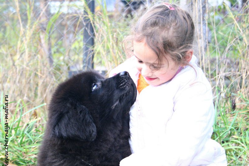 Фотография № 194326