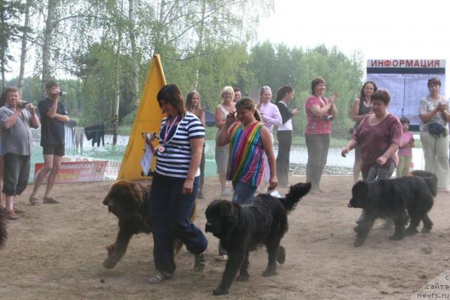 Фото: [pledi][d3016], [plesika]