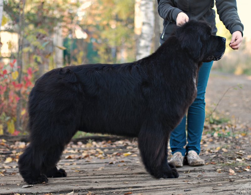 Фотография № 194336