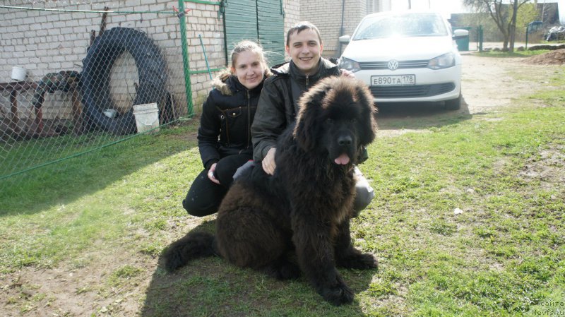 Фотография № 194342