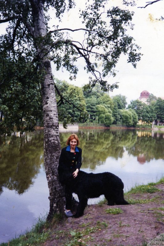 Фотография № 194347