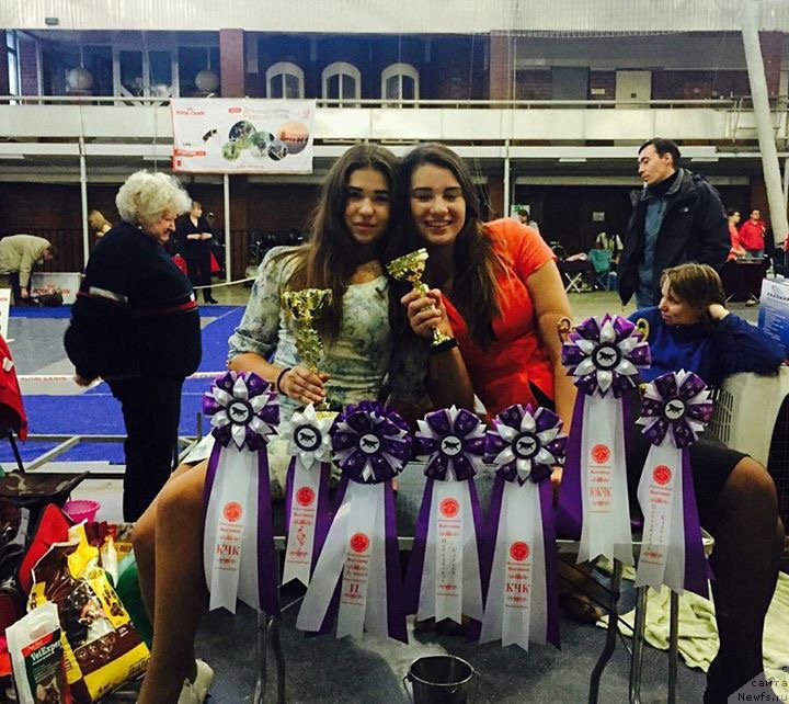 Фото: Ирина Тимкина, Валерия Гнутова, ньюфаундленд Aquatoriya Kelvin Avanturist (Акватория Келвин Авантюрист)