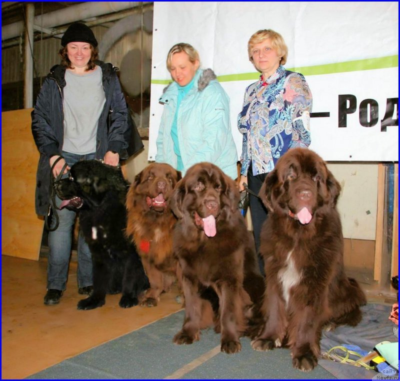 Фотография № 194381