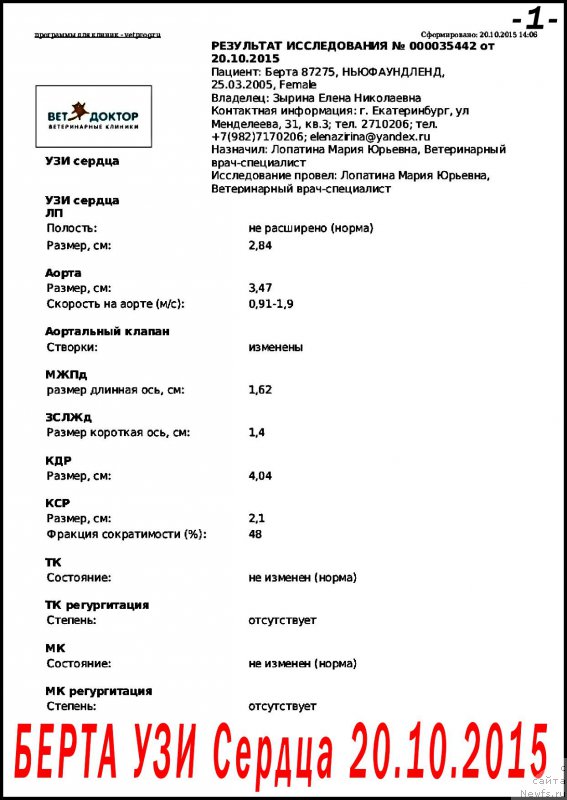 Фото: ньюфаундленд Beretta (Беретта)