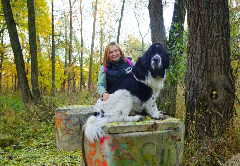 Фотография № 194425