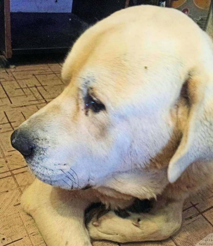 Фотография № 194427