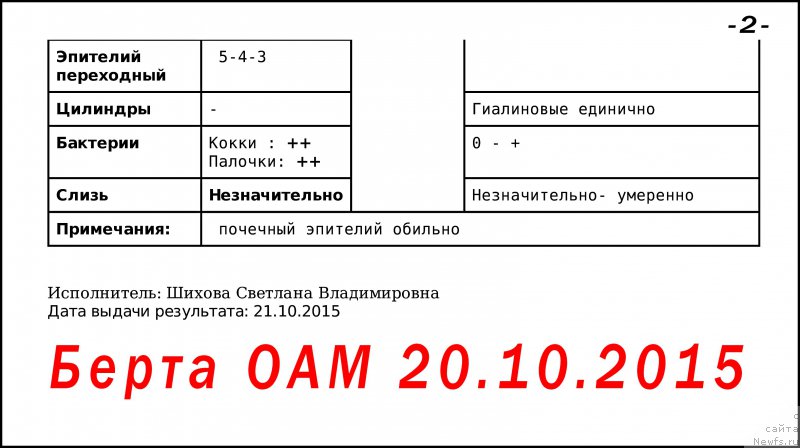 Фото: ньюфаундленд Beretta (Беретта)